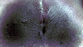 Taylor Starr, ebony girl, farting nude close-up on chairs with asshole exposed