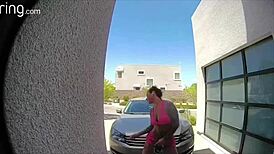 Felicity the fit cat is a slutty comic relief