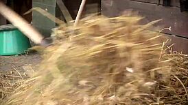 Watch Megan Cox finger her pussy outdoors, tanned brunette babe solo?