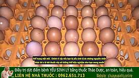 เฮ้ย อยากรู้ความลับโบราณเวียดนามเพื่อเพิ่มพลังเซ็กส์ชายหนุ่มด้วยสไตล์เอเชียไหม?