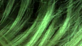 Hot Blonde With Big Tits Passionately Sucks Lover's Cock