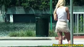 real hitchhiker blonde amateur polishes driver's knob in wild outdoor pov