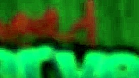 olga's reality anal dildo fucking with licking, fingering, and masturbation in pov