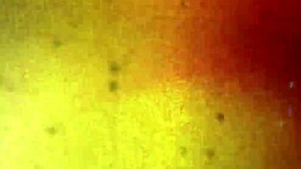 tgirl lola morena sucks epic cock in hardcore assfucking