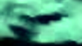 유럽에서 미첼라 비엔나와 감각적인 세션 예약해