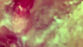 At bo med en nymfo som JuanLatino4 er vildt, altid våd og klar!