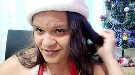 el toro de oro e paty bumbum lhes deseja um feliz natal