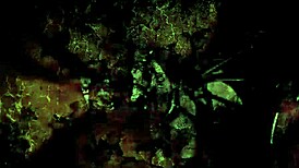 I cherish these vintage erotic drawings from antique anime collections.