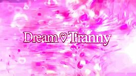 Tgirl Isabelly Ferreira sucks cock deeply after intense banging