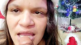 el toro de oro e paty bumbum lhes deseja um feliz natal