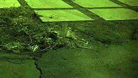 ej, vidi ovu ekstremnu BDSM curu 18+ kompilaciju sad