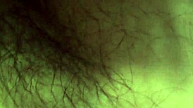 Watch my gf give a horny blowjob?