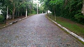 Beautiful tits flash at tourist spot