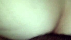 big ass bbw sitting on enormous bunda