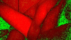 bad light pervert fuck?