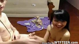 Young Latina Couple Sucking Cock in Public Webcam Gangbang for Free on WTFTeen