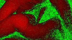 bad light pervert fuck?