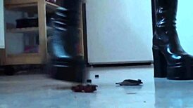 Slaves suffer bdsm domination and foot humiliation!