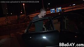 Free Gay Porn Photos