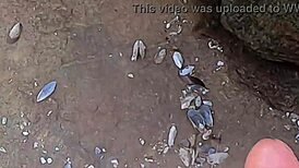 Beautiful Young Brazilian Watched Having Public Sex on Beach Rocks