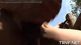 I enjoy watching ladyboy videos with hardcore blowjobs.