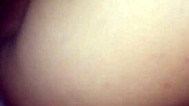 A mexican rooster struts confidently in the trimmed footage.