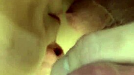 Roxi Reynolds Blows Big Cock