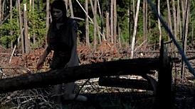 Naked Girl Masturbates in Forest Setting