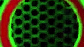 Milf Vicky Vette and coworker Kate England get wild licking pussy