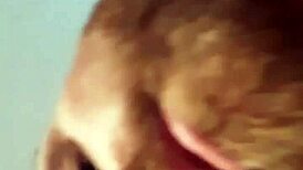 mandeezy on top performance