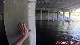 Hey, Willow Ryder, bounce that bubble butt on my huge rod?