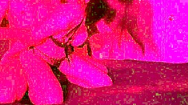 Lazycatdoll Feels Punk Fingering