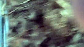 Intense Rainy Day Car Blowjob With Cum Swallow In Public