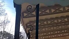 southern babe licks ass and deepthroats cock