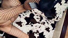 Seksvaimo leikkii faniensa kanssa sukissa ja alusvaatteissa