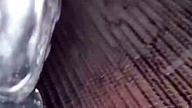 Brett's cock deepthroats in gay trans action