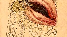 Ever seen such steamy vintage erotic drawings come to life?