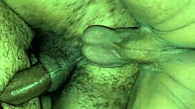 tres machos com desejos secretos