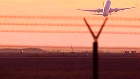 Danni Rivers bersinar dalam cerita hookup pelacur panggilan