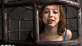 Best Sadomasochism Videos Competition