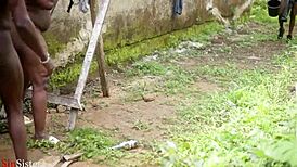 Landlord Catches Tenant Fucking Outdoors