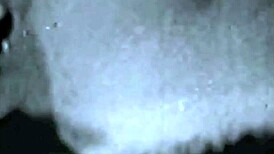 Dark Lantern's Vintage Interracial Confessions: Erotic Fucking from a Victorian Gentleman's Secret Life!