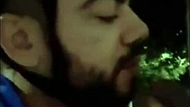 yo, caught some wild outdoor sucking and banging in public today