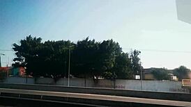 Yo, you gotta see this colegiala flashing panties on the bus. Wild transsexual vibe!