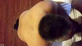 she casually sucks that black shemale cock