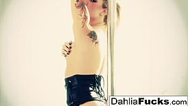 sexy dahlia teases tight wet pussy with dildo