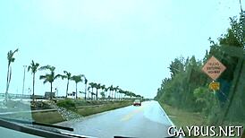 free gay lifestyle images for download