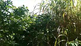 she made me a cuckold, banging guys on the beach with joy cardozo and bruna black. total wild gangbang scene.