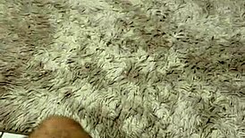 Latina amateur enjoys intense anal session