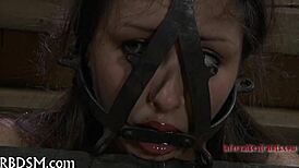 boxed up girl is t... i mean, she sucks cock in missionary, bent over, doggystyle, and fucking